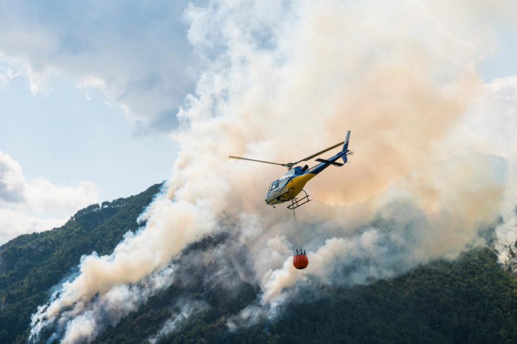 Le changement climatique «derrière la propagation alarmante des incendies de forêt» - Zenova